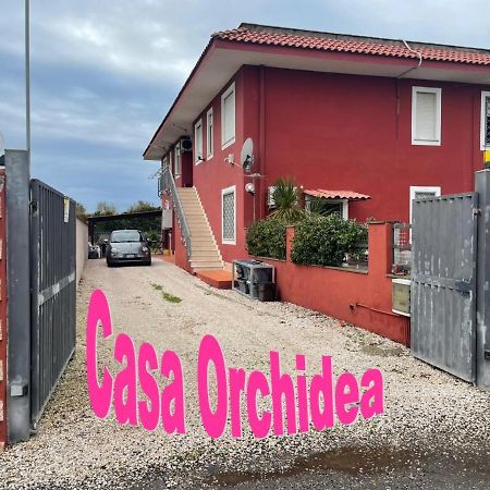 Casa Orchidea Appartement Fiumicino Buitenkant foto