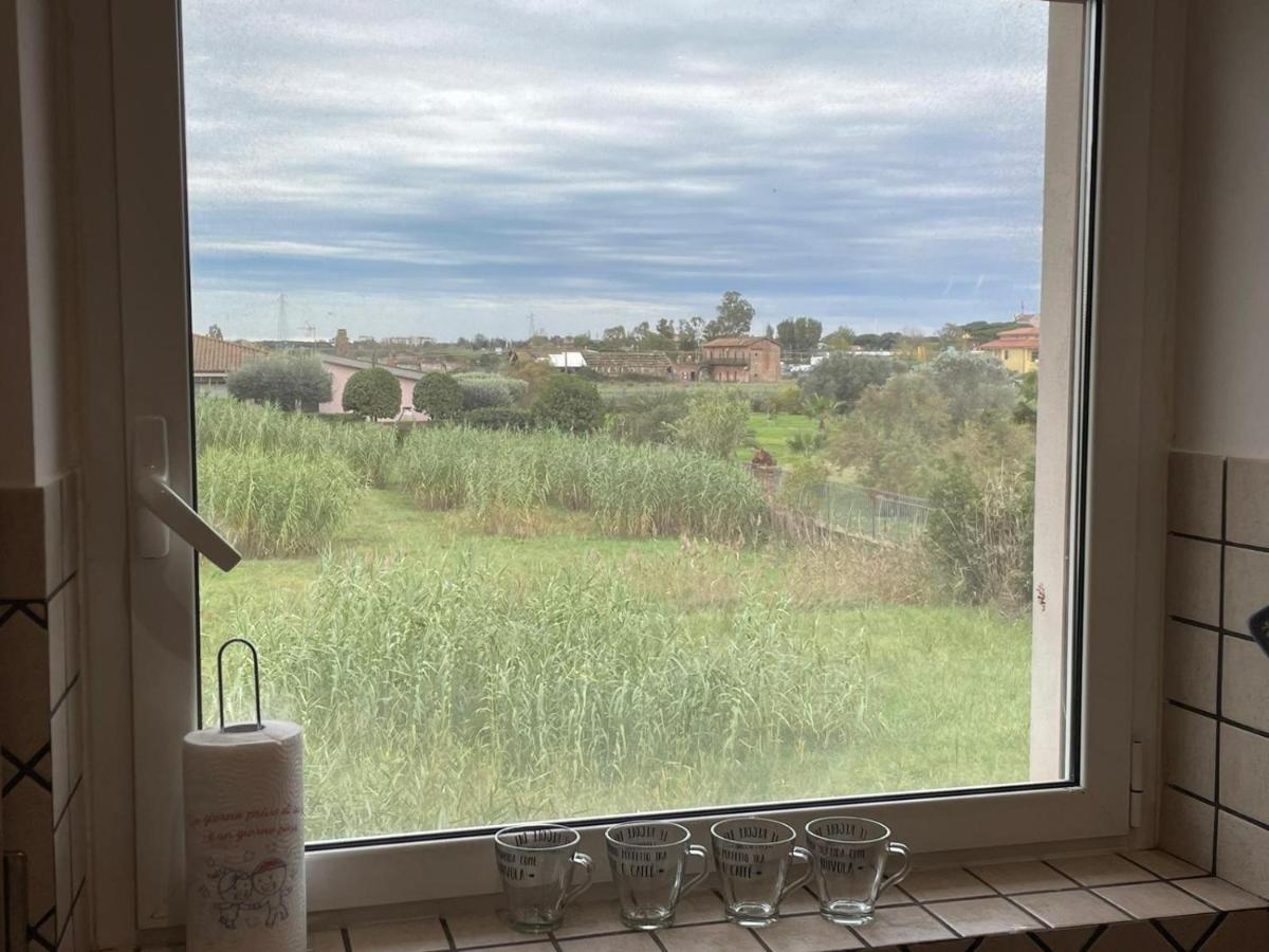 Casa Orchidea Appartement Fiumicino Buitenkant foto